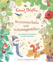 Sonnenschein und Schneegestöber - Die schönsten Geschichten für alle Jahreszeiten Blyton, Enid 9783570180198