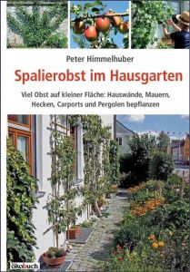 Spalierobst im Hausgarten Himmelhuber, Peter 9783936896879