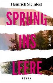 Sprung ins Leere Steinfest, Heinrich 9783492321259