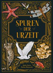 Spuren der Urzeit Gwinn, Saskia/Romanenko, Vasilisa 9783791375847