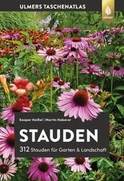 Stauden Heißel, Kaspar/Haberer, Martin 9783818609559