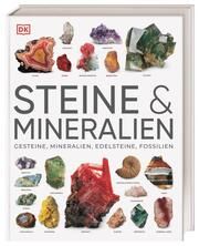 Steine & Mineralien Bonewitz, Ronald L 9783831048069