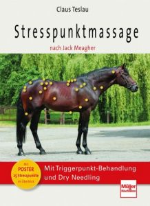 Stresspunktmassage nach Jack Meagher Teslau, Claus 9783275019687