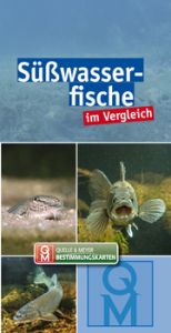 Süßwasserfische im Vergleich Quelle & Meyer Verlag 9783494018935