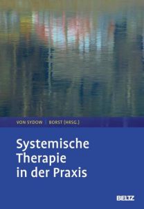 Systemische Therapie in der Praxis Kirsten von Sydow/Ulrike Borst 9783621285278