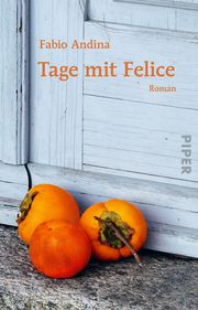 Tage mit Felice Andina, Fabio 9783492317597