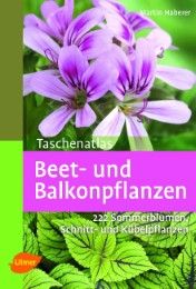 Taschenatlas Beet- und Balkonpflanzen Haberer, Martin 9783800146598