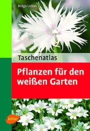 Taschenatlas Pflanzen für den weißen Garten Urban, Helga 9783800146420