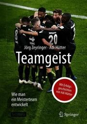 Teamgeist Zeyringer, Jörg/Hütter, Adi 9783662595220