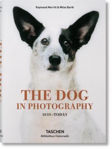 The Dog in Photography 1839-Today Merritt, Raymond 9783836567473