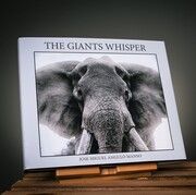 THE GIANTS WHISPER Angulo Manso, Jose Miguel 9783000758515