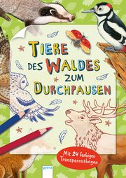 Tiere des Waldes zum Durchpausen Hans-Günther Döring 9783401715360