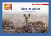 Tiere im Winter / Kamishibai Bildkarten Sangu, Verena 4260505830922