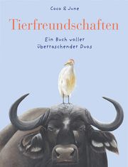 Tierfreundschaften Coco & June 9783772529115