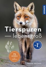 Tierspuren lebensgroß Hecker, Frank 9783440177747