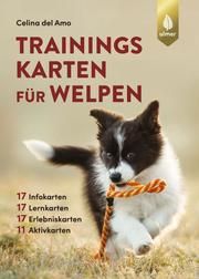 Trainingskarten für Welpen Amo, Celina del 9783818613136