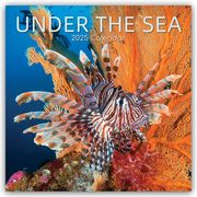 Under the Sea - Tropische Fische 2025 - 16-Monatskalender  9781835362402