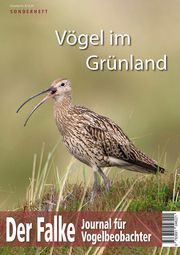 Vögel im Grünland Redaktion Der Falke 9783891048429