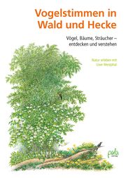 Vogelstimmen in Wald und Hecke Westphal, Uwe 9783895664168