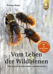 Vom Leben der Wildbienen Boyer, Philippe 9783818613426