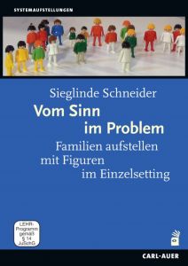 Vom Sinn im Problem Schneider, Sieglinde 9783849702106