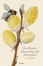 Von Bienen, Hummeln und Menschen Eberhard Scholing 9783150143605