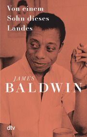 Von einem Sohn dieses Landes Baldwin, James 9783423149020