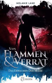 Von Flammen und Verrat Lane, Melanie 9783954529711