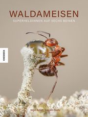 Waldameisen Tautz, Jürgen 9783957288400