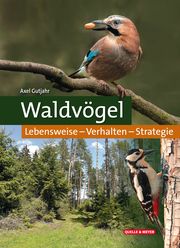 Waldvögel Gutjahr, Axel 9783494018201