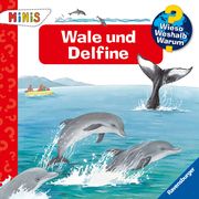 Wale und Delfine Doris Rübel 9783473324460