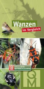 Wanzen im Vergleich Quelle & Meyer Verlag 9783494018652