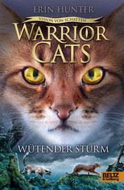 Warrior Cats - Wütender Sturm Hunter, Erin 9783407754646