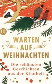 Warten auf Weihnachten Gesine Dammel 9783458682387