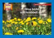 Was blüht und krabbelt da? / Kamishibai Bildkarten Sangu, Verena 4260505830984