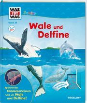 WAS IST WAS Junior - Wale und Delfine Oftring, Bärbel 9783788622237