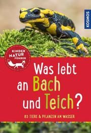 Was lebt an Bach und Teich? Saan, Anita van 9783440147993
