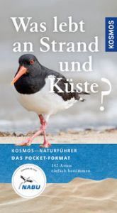 Was lebt an Strand und Küste? Wilhelmsen, Ute 9783440170076