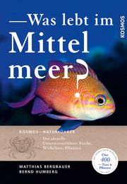 Was lebt im Mittelmeer? Bergbauer, Matthias/Humberg, Bernd/Kirschner, Manuela 9783440176030