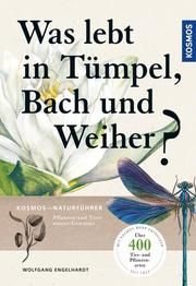 Was lebt in Tümpel, Bach und Weiher? Engelhardt, Wolfgang/Martin, Peter/Rehfeld, Klaus 9783440159002