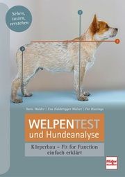 Welpentest und Hundeanalyse Walder, Doris/Holderegger Walser, Eva/Hastings, Pat 9783275022069