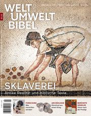 Welt und Umwelt der Bibel / Sklaverei Köhncke, Doris 9783948219550