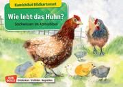 Wie lebt das Huhn? Stöckl-Bauer, Katharina 4260179516344