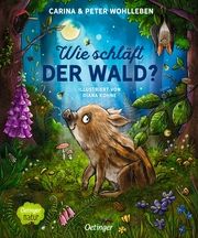 Wie schläft der Wald? Wohlleben, Carina/Wohlleben, Peter 9783751202138