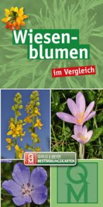 Wiesenblumen  9783494019307