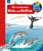 Wieso? Weshalb? Warum? Band 41: Wir entdecken Wale und Delfine Rübel, Doris 9783473327751