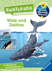 Wieso? Weshalb? Warum? Erstleser, Band 3: Wale und Delfine Noa, Sandra 9783473600021