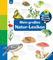 Wieso? Weshalb? Warum?: Mein großes Natur-Lexikon Noa, Sandra 9783473329892