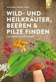 Wild- und Heilkräuter, Beeren und Pilze finden Schneider, Christine/Beiser, Rudi/Gliem, Maurice 9783818608286
