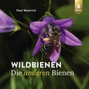 Wildbienen - Die anderen Bienen Westrich, Paul 9783818620868